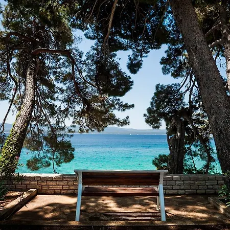 Mare